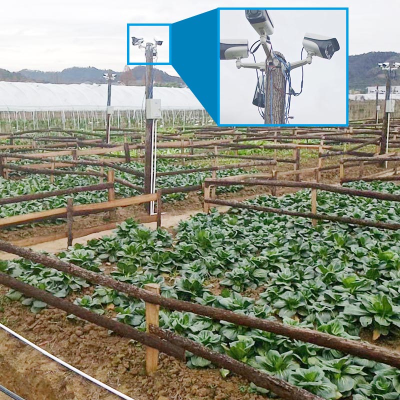 установлено видеонаблюдение для облегчения управления растениями